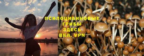 кокаин перу Белокуриха