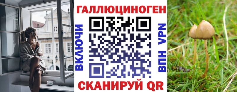 Псилоцибиновые грибы мицелий  darknet клад  Бузулук 