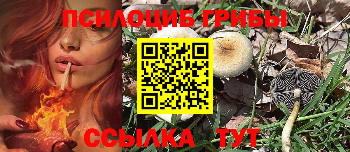 Галлюциногенные грибы мухоморы  Псилоцибиновые грибы MAGIC MUSHROOMS  Вход с VPN  Бузулук 