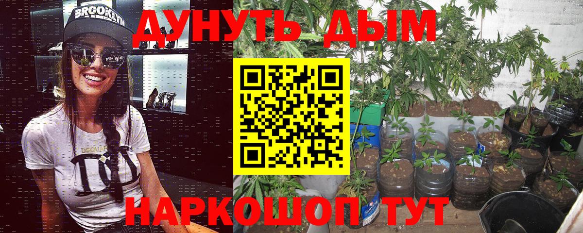 Бузулук  Бошки Шишки Bruce Banner  Каннабис LSD WEED  Конопля сатива  Вход с VPN 